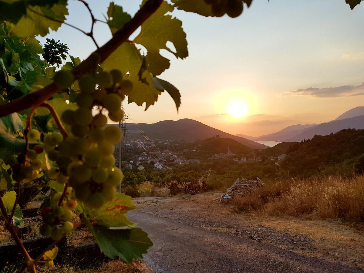 Villa Rolla Teodo Esterno foto